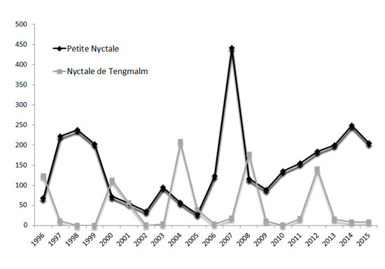 Le graphique illustre le nombre de captures de nyctales de Tengmalm et de petites nyctales depuis le début du suivi en 1996. Le cycle d’abondance aux quatre ans est visible chez la nyctale de Tengmalm qui atteint des pics en 2004, 2008 et 2012. Un record de captures fut établi en 2007 pour la petite nyctale avec 442 captures.
